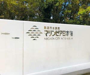 新潟市水族館 マリンピア日本海