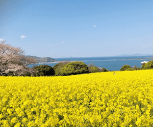 能古島