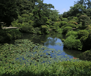 本間美術館