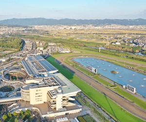 京都競馬場