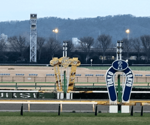 東京競馬場