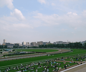 札幌競馬場