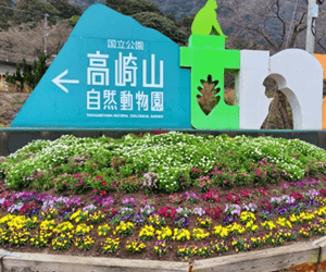 高崎山自然動物園