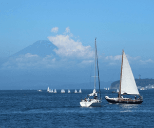 葉山マリーナ