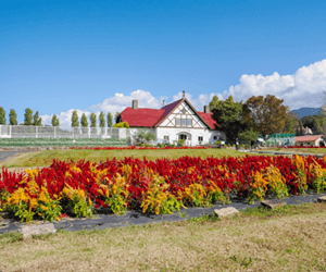滋賀農業公園ブルーメの丘