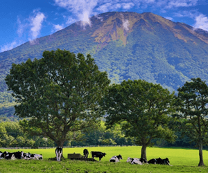 大山まきばみるくの里