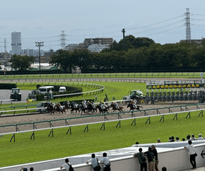 中山競馬場
