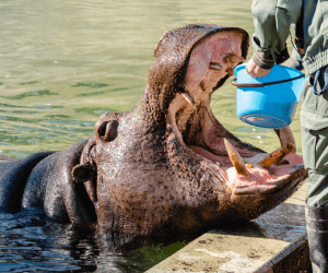 東武動物公園