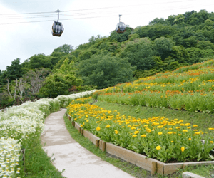 神戸布引ハーブ園