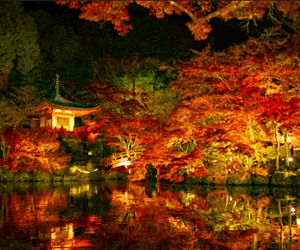 醍醐寺