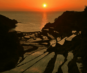 浜野浦の棚田