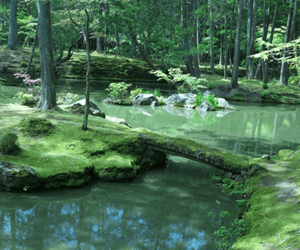 西芳寺（苔寺）