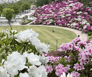 西山公園