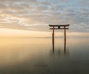 白鬚神社