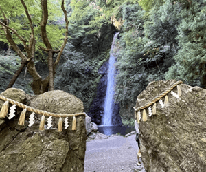 養老の滝
