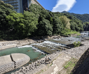 箱根温泉
