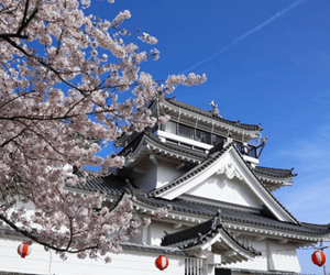 妙見山公園