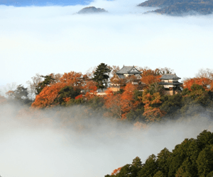 備中松山城