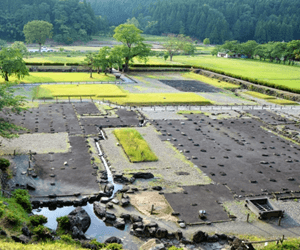 一乗谷朝倉氏遺跡