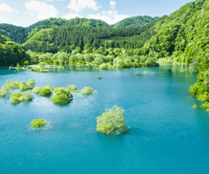 秋扇湖