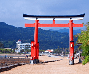青島神社